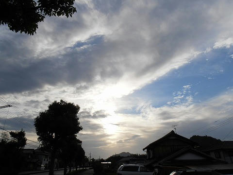P6260004.jpg