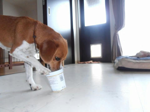 P7230001.jpg