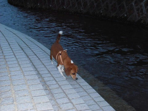 P7260004.jpg