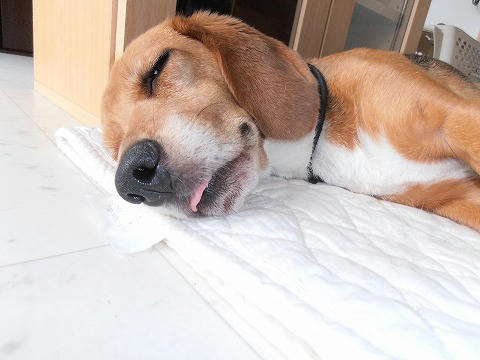 P7300002.jpg