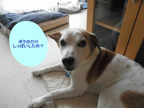 P7310001.jpg