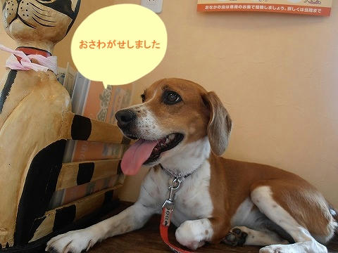 P8150009.jpg