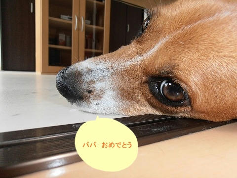 P8170011.jpg