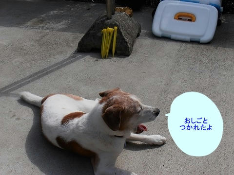 P8240001.jpg