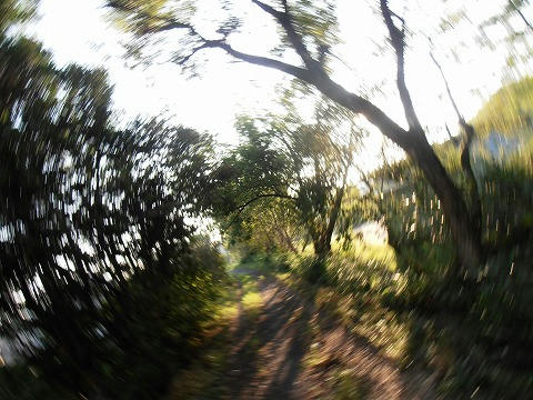 P8290034.jpg