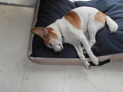 P9030001.jpg