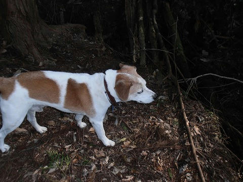 PA040012.jpg