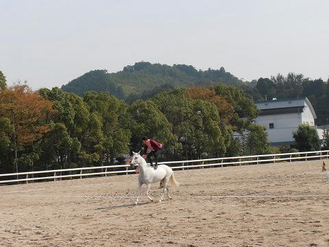 PA100006.jpg