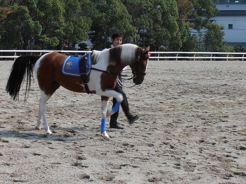 PA100011.jpg