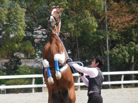 PA100028.jpg