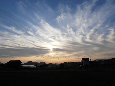 PA200001.jpg