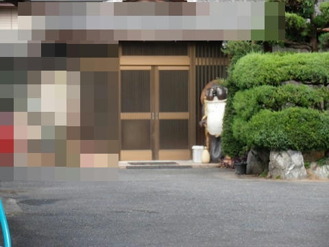 PA240012.jpg