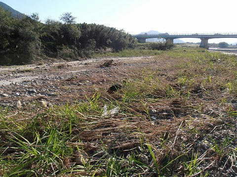 PA270003.jpg