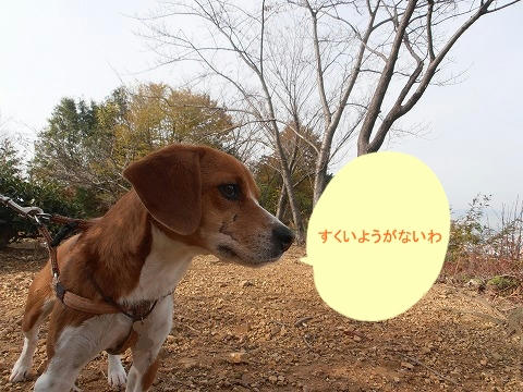 PB270006.jpg