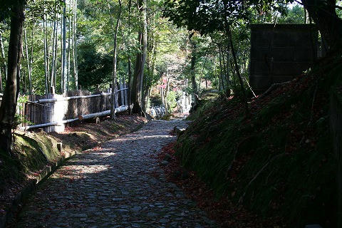 IMG_8723.jpg