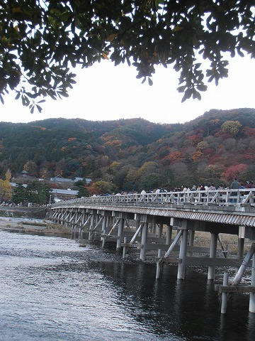 PC040047.jpg