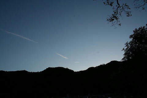 IMG_8746.jpg