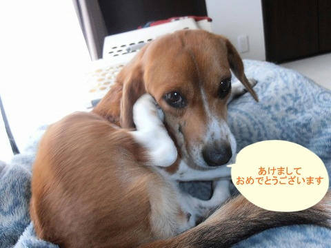 PB130002.jpg