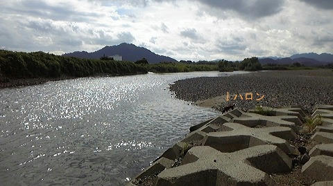 DVC00041.jpg