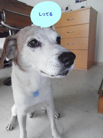 a0991140.jpeg