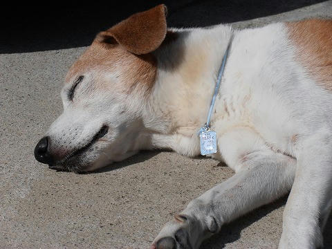 PA050011.jpg