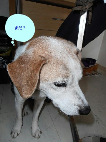PB020020.jpg