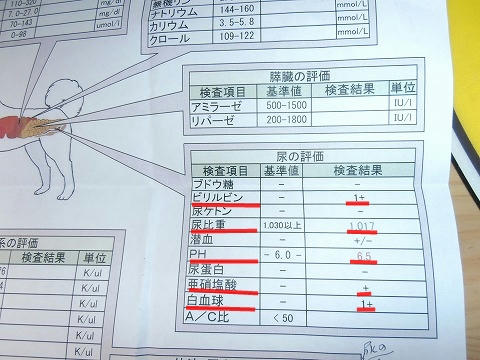 PB060011.jpg