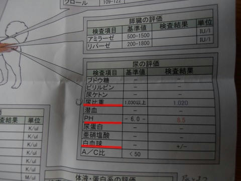 PB110003.jpg
