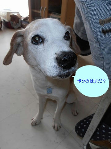 PB140003.jpg