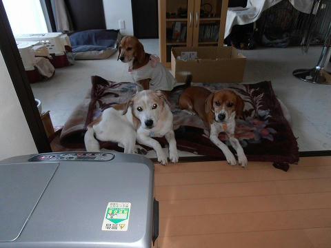 PC030007.jpg