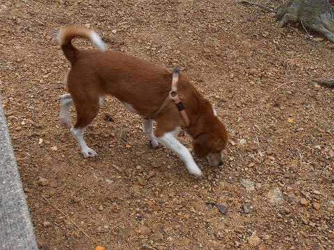 P1020021.jpg