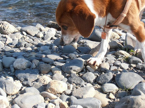P2100011.jpg
