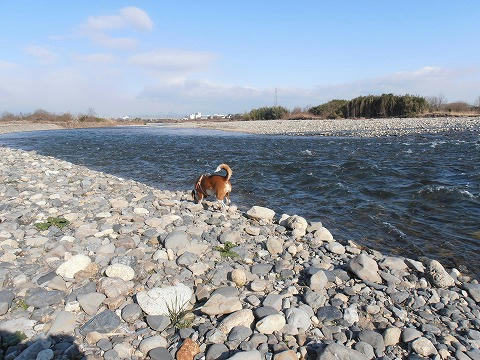 P2100014.jpg