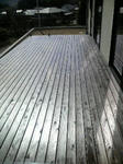 2009020612380000.jpg