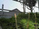2009031711400001.jpg