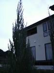 2009031818300000.jpg