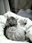 2009032612200000.jpg