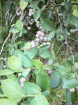 2009060915040000.jpg