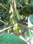 2009081915010000.jpg