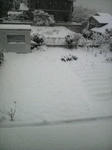 snow-g.jpg