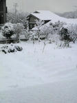 snow-g2.jpg