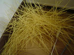 DSC02113.JPG