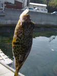DSC02032.JPG