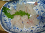DSC02125.JPG