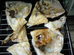DSC02130.JPG