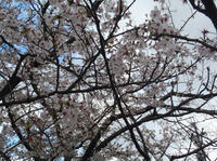 130403-3.jpg