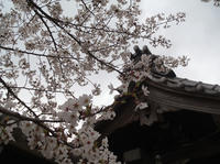 130403-1.jpg