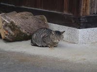 130403-2.jpg