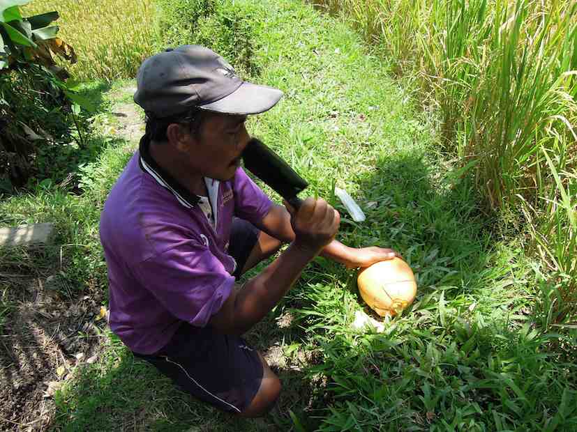 ubud