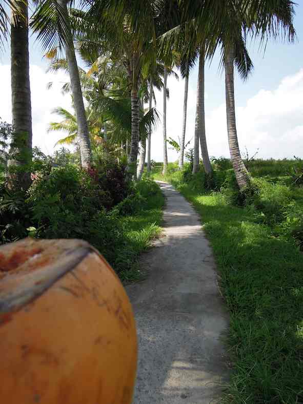 ubud